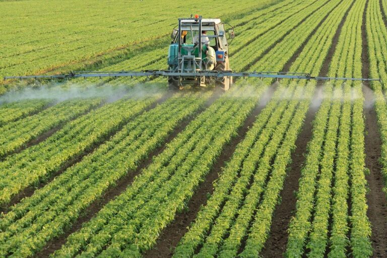 afaceri agricultura