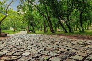 sfaturi utile pentru reducerea consumului de energie