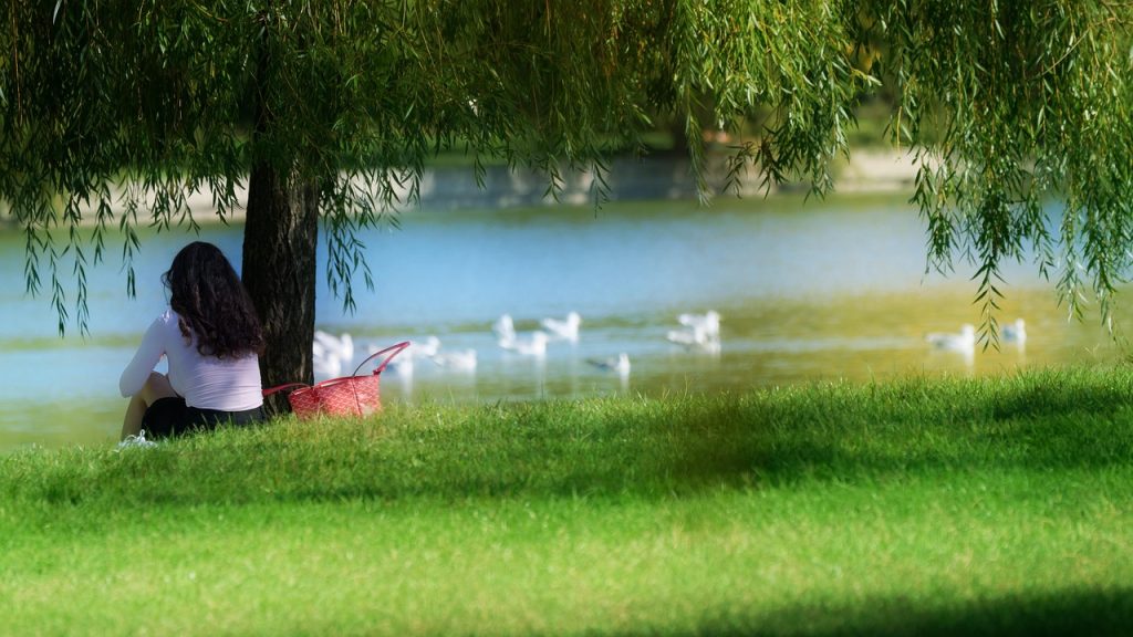 etichetarea energiei electrice