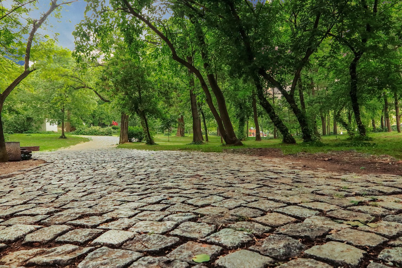 dictionarglutamat monosodic msg