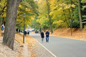 ziua mondiala a drepturilor consumatorilor amrcr infocons protectia consumatorilor 15 martie 2024