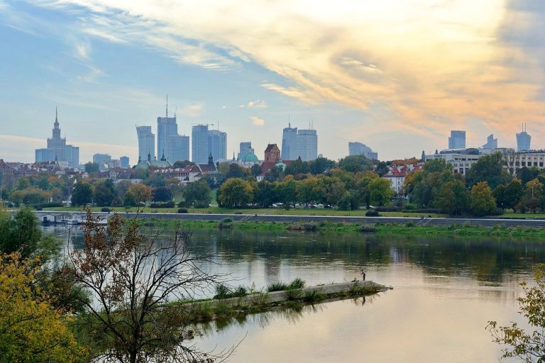 primarie bacau