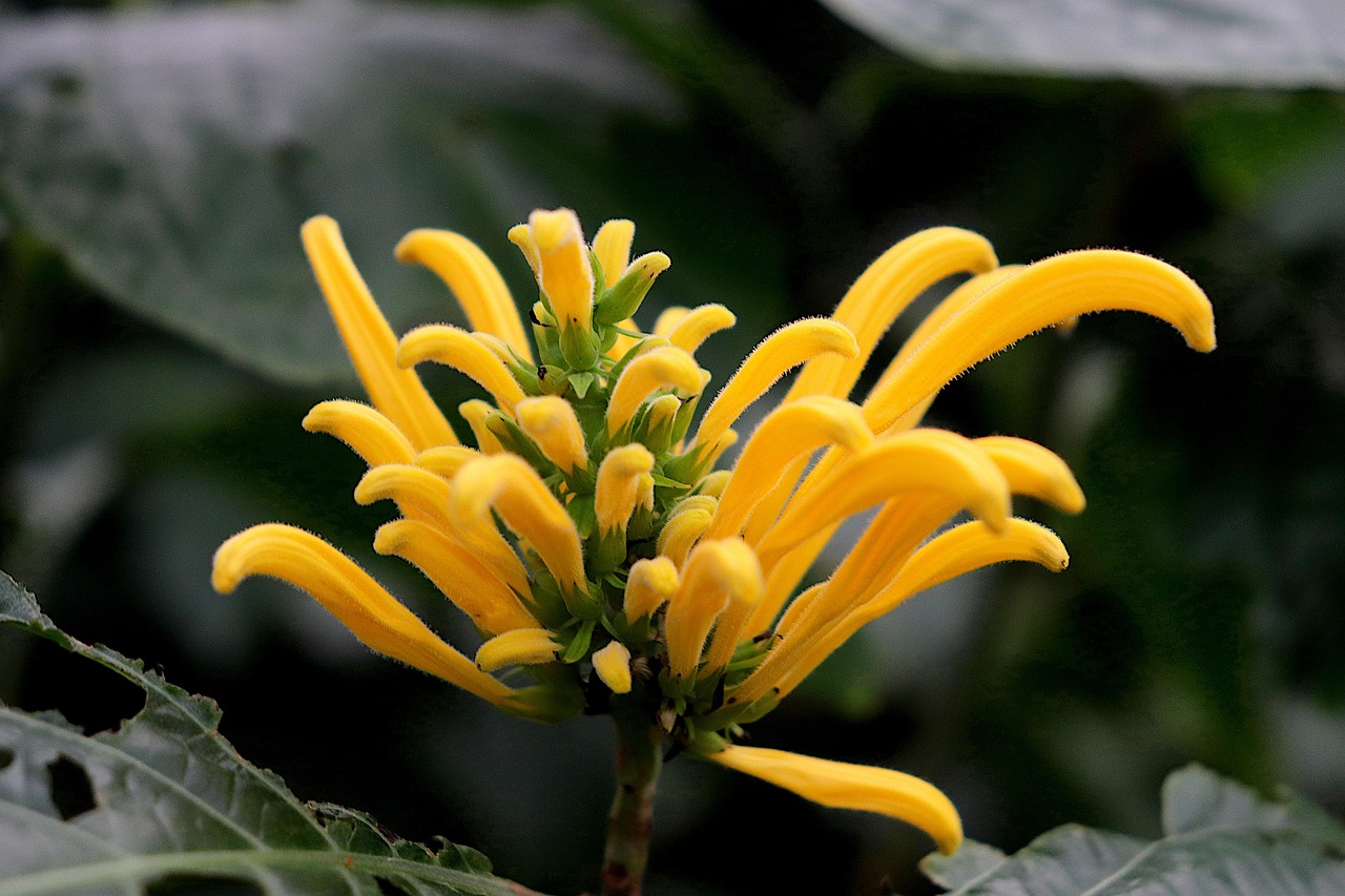 ce se intampla daca romania intra in spatiul schengen