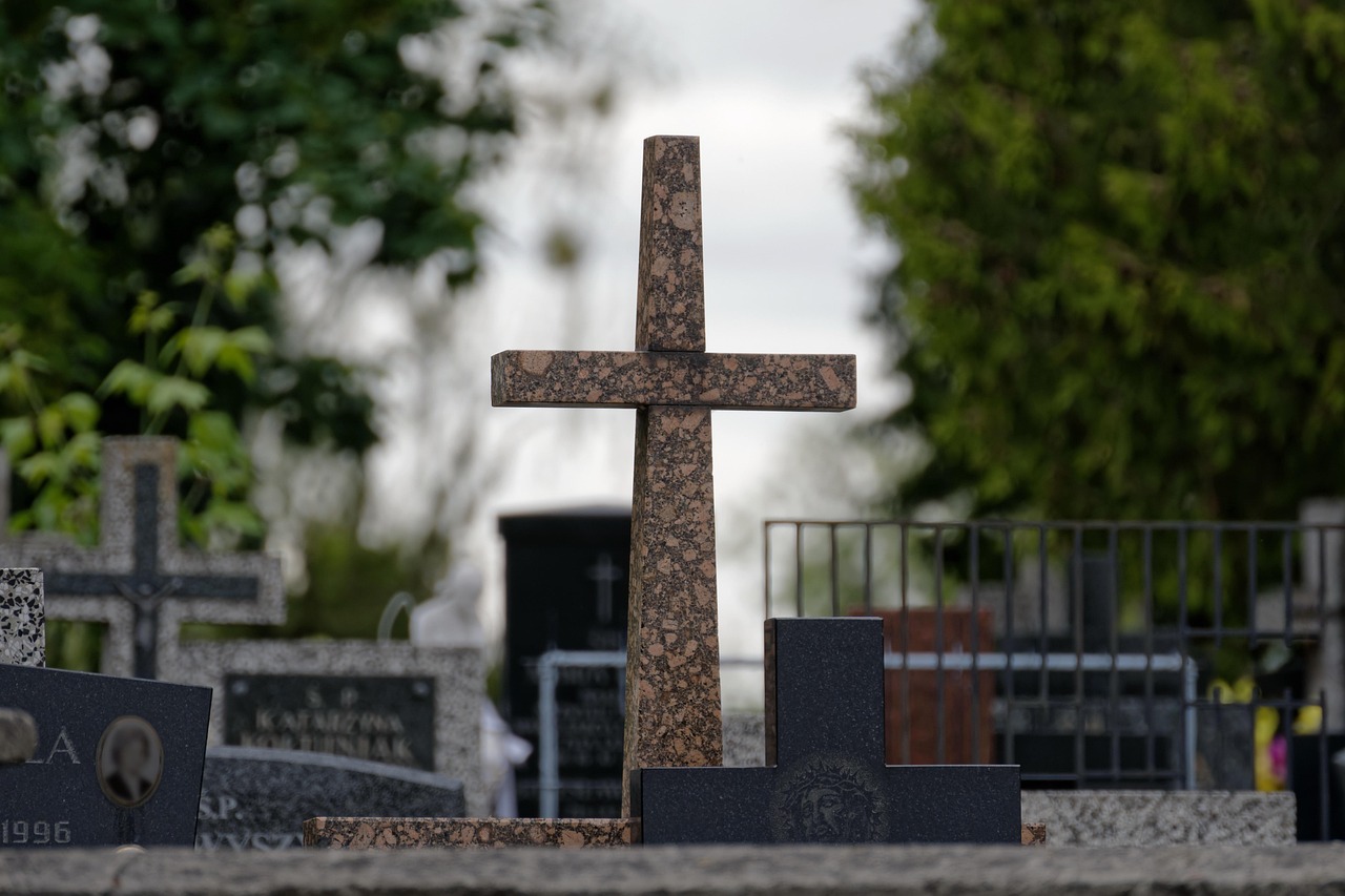 directia generala de asistenta sociala bucuresti director general cosmina ioana simiean nicolescu