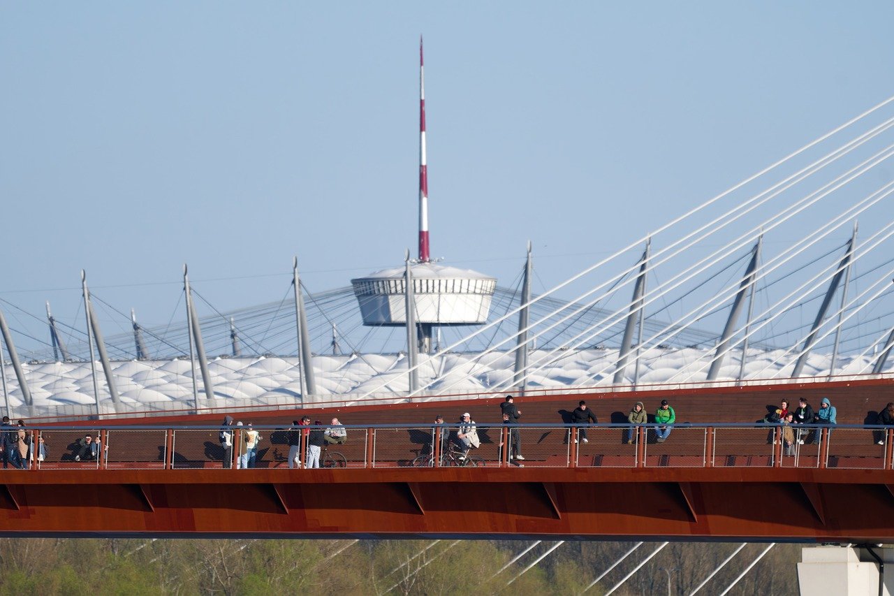 somajul in strainatate 2