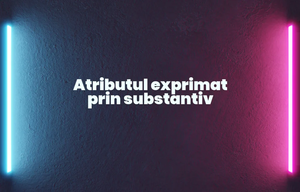 atribut exprimat prin substantiv