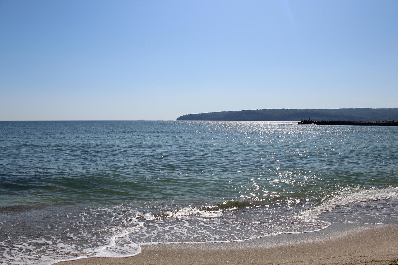 dictionar citrat de potasiu