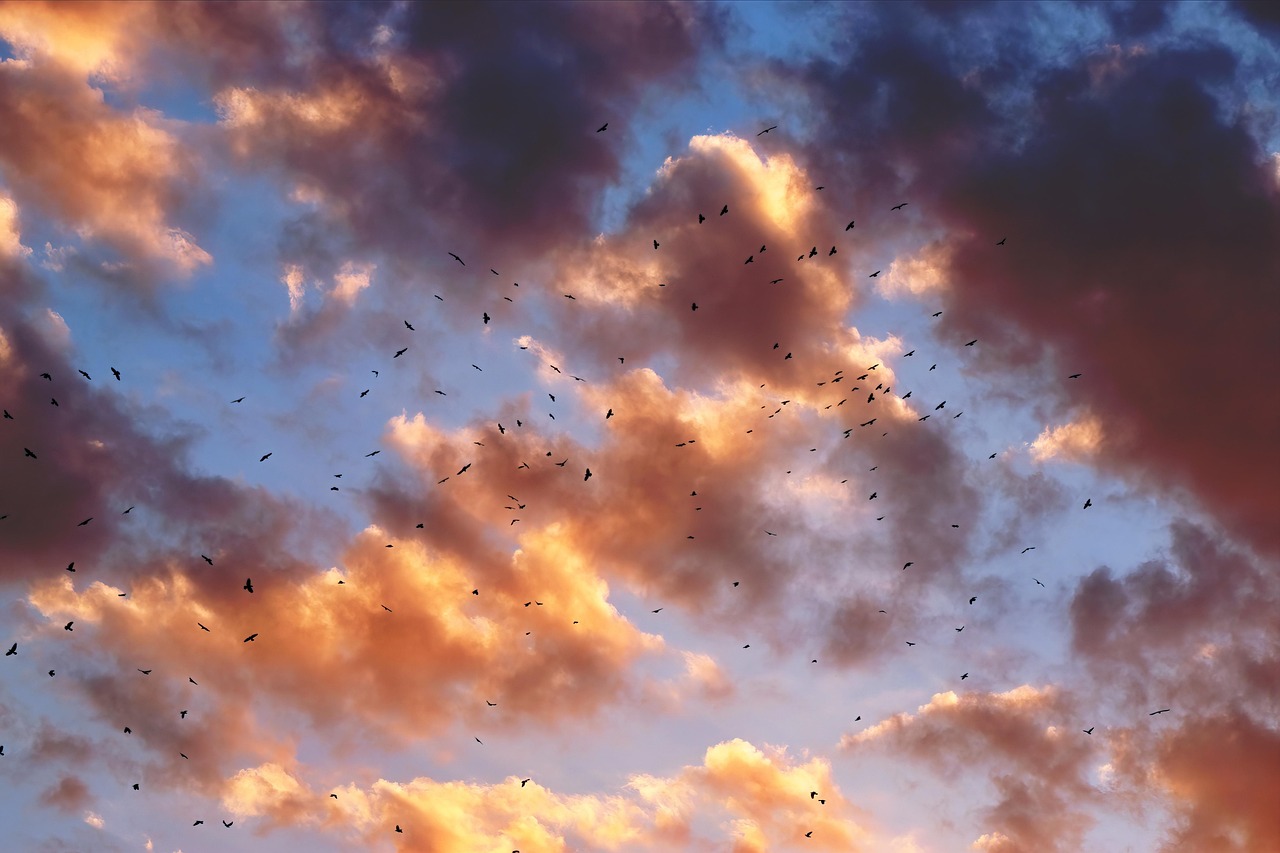 inel argintiu in forma de floare produs vandut online