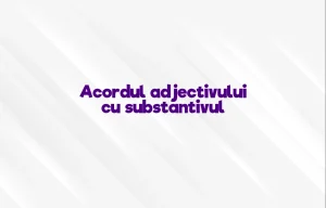 acordul adjectivului cu substantivul