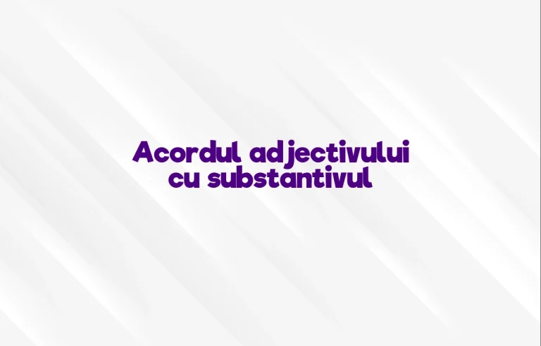 acordul adjectivului cu substantivul