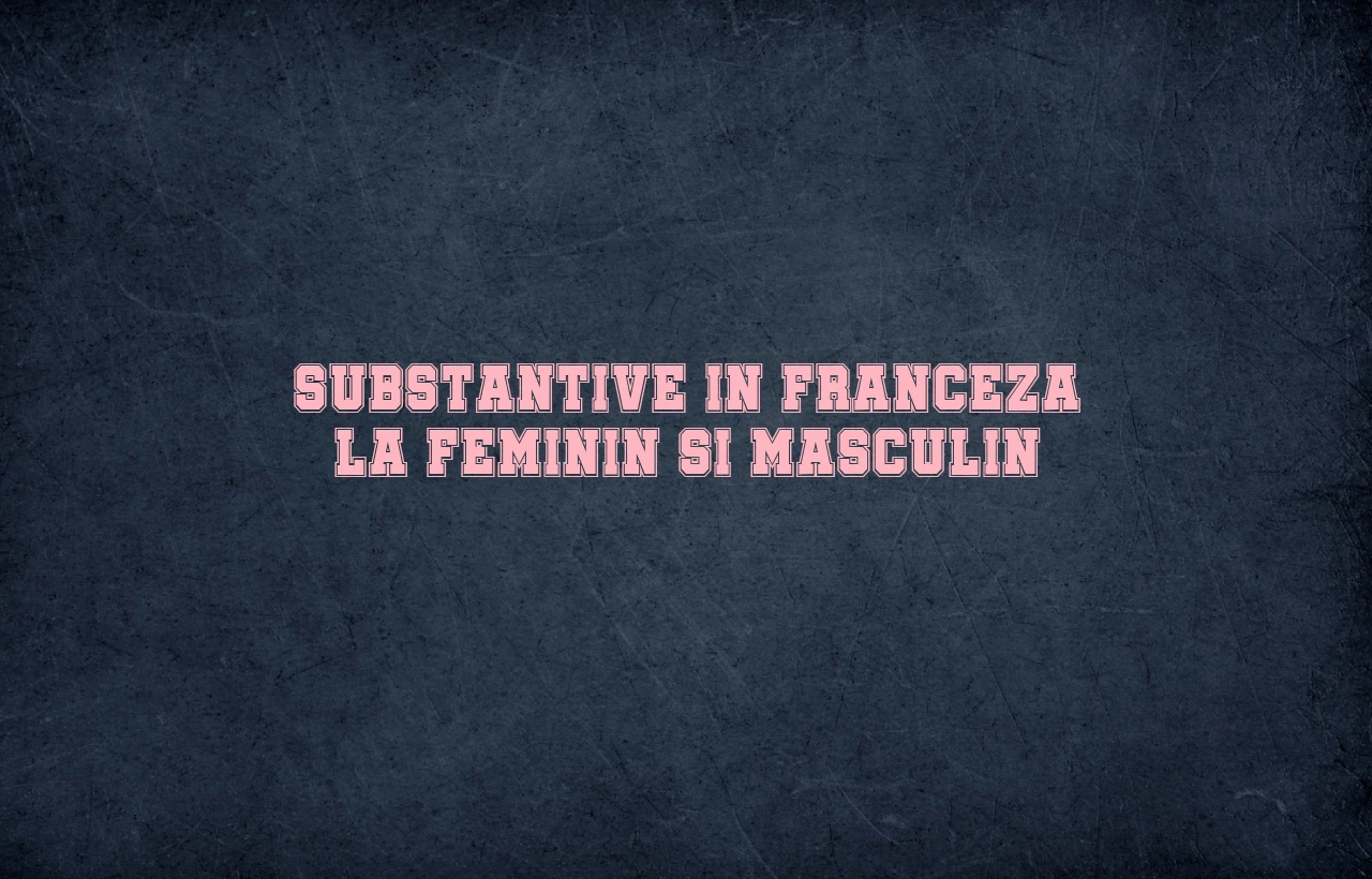 substantive in franceza la feminin si masculin