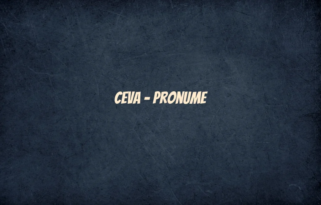 ceva pronume