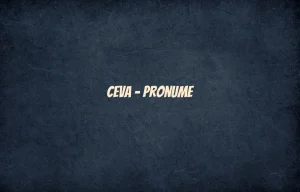 ceva pronume