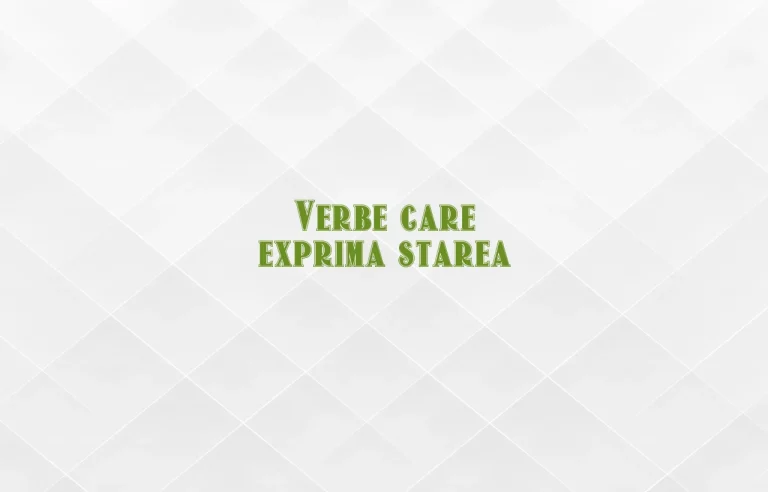 verbe care exprima starea