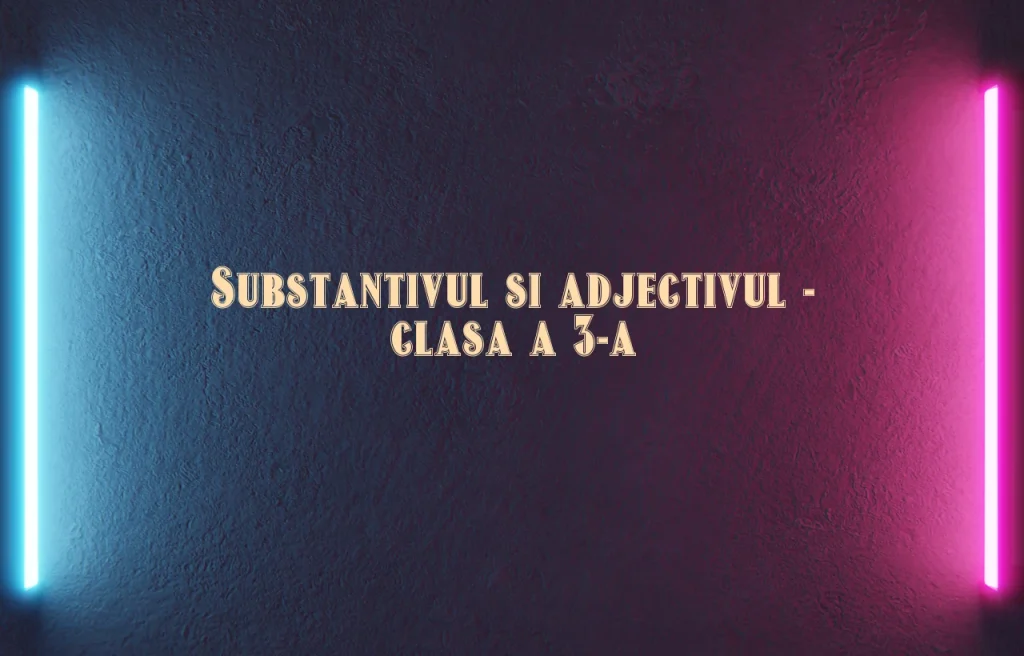substantivul si adjectivul clasa a 3 a