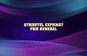 atribut numeral