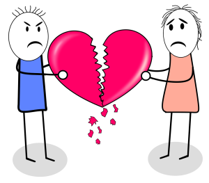 bianca niculae divort