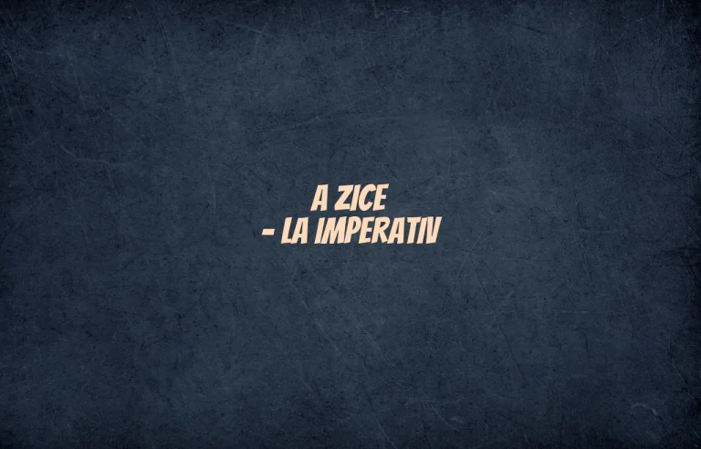a zice la imperativ