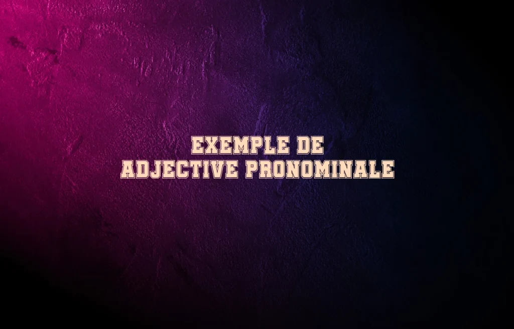 exemple de adjective pronominale