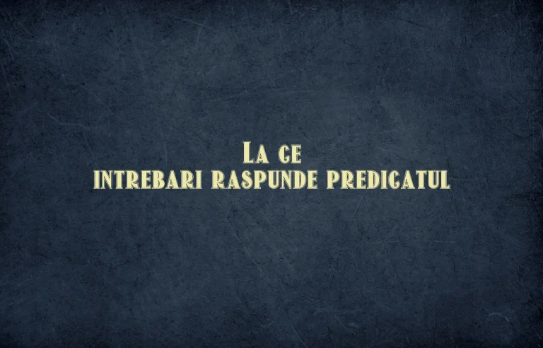la ce intrebari raspunde predicatul