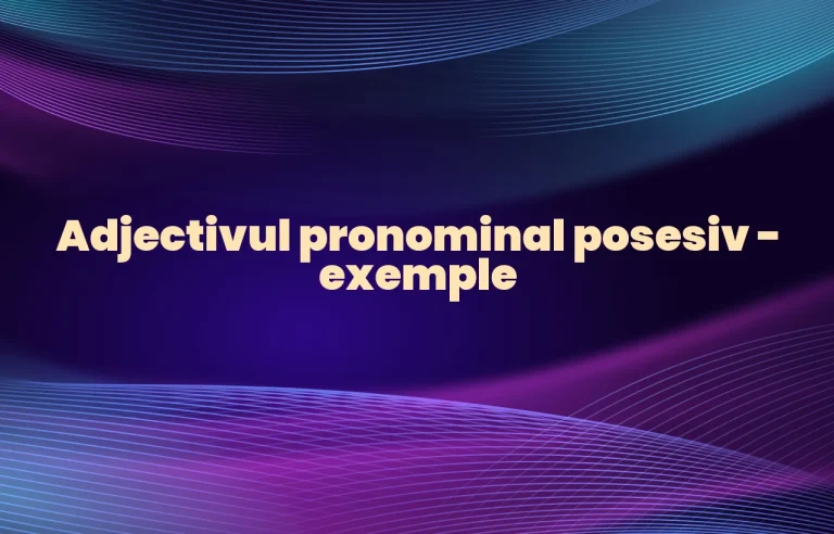 adjectiv pronominal posesiv exemple