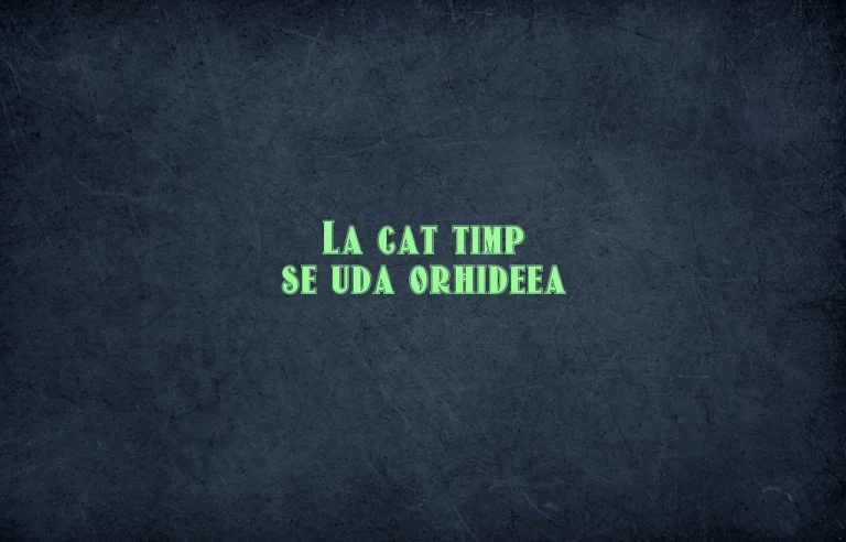 la cat timp se uda orhideea
