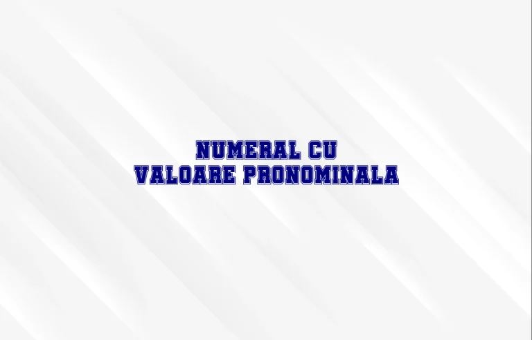 numeral cu valoare pronominala