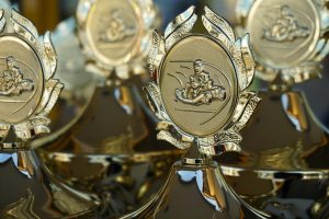 ce premii a castigat meryl streep